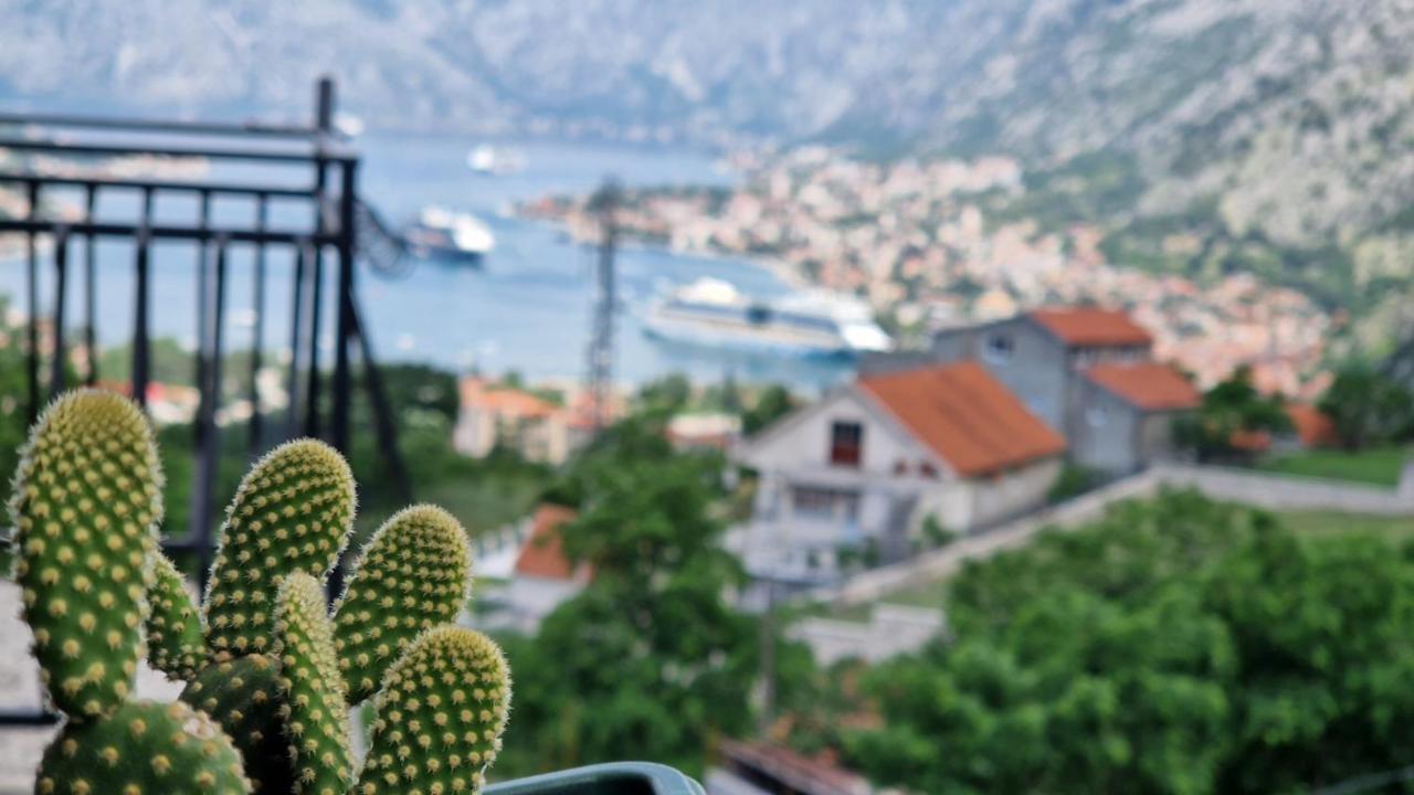Anastasija 2 Apartment Kotor Bagian luar foto