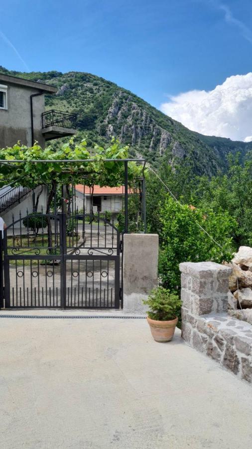 Anastasija 2 Apartment Kotor Bagian luar foto